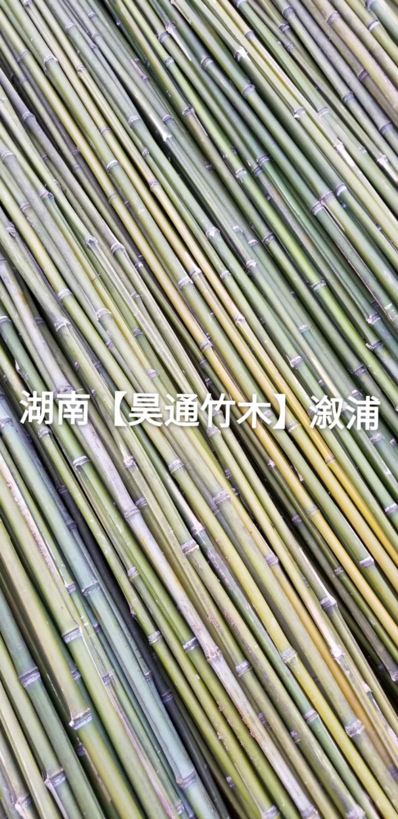 湘西雪峰山2.4米菜架竹、小竹竿、竹架条