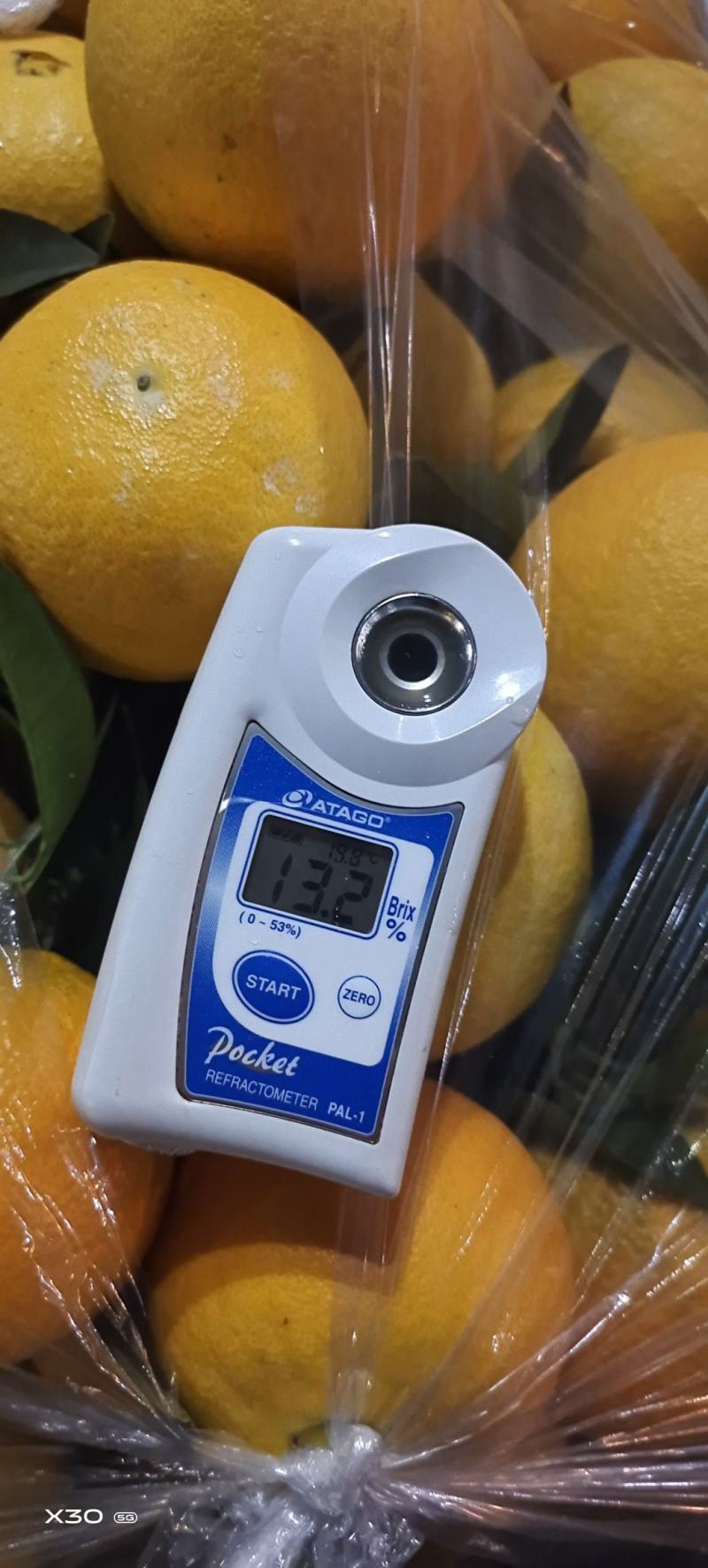九月红【脐橙】鲜果秭归脐橙皮薄多汁产地直发新鲜橙子果冻橙