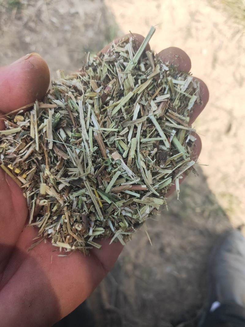 花生秧牛羊草，兔子及鹅用花生秧粉