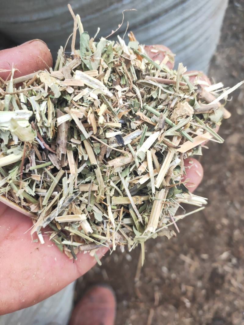 花生秧牛羊草，兔子及鹅用花生秧粉