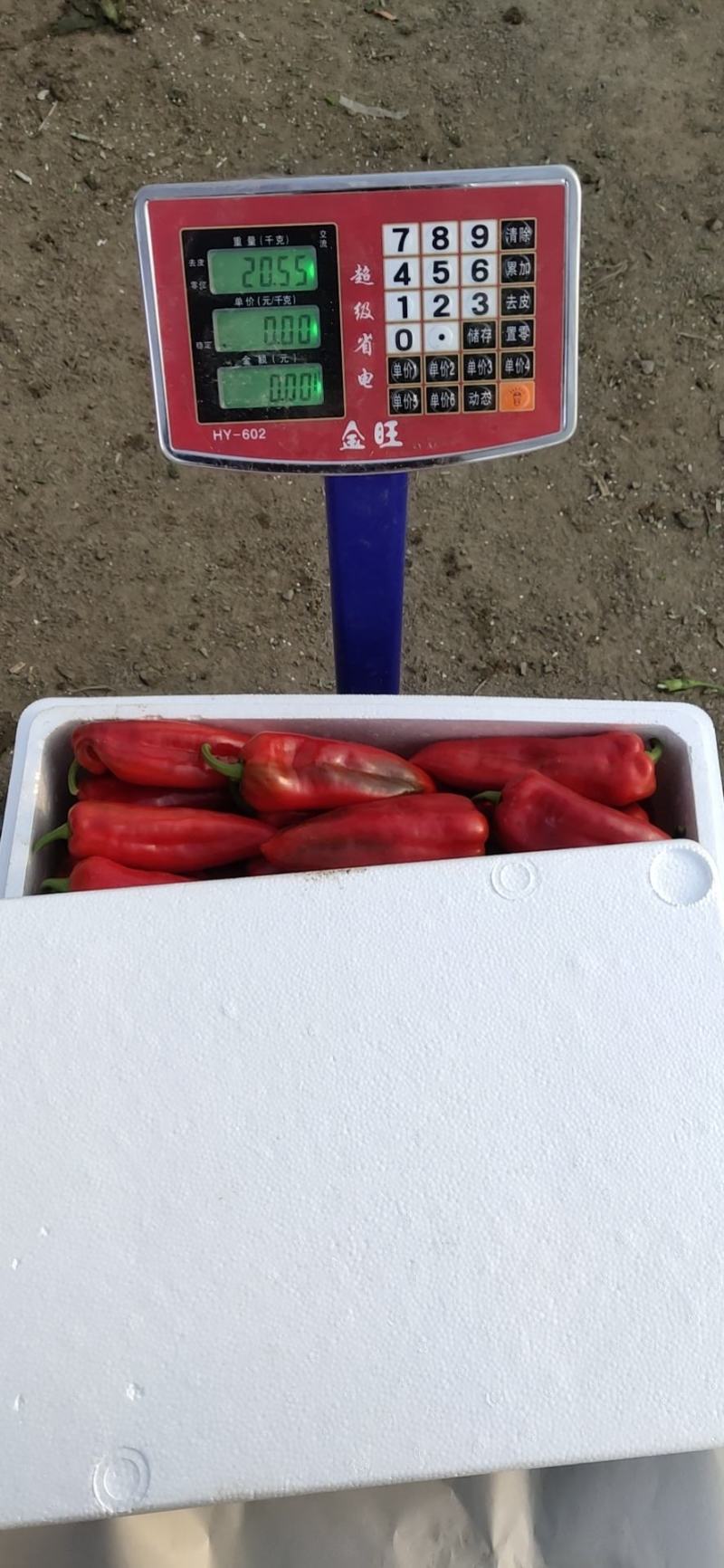 红泡椒，精品红椒