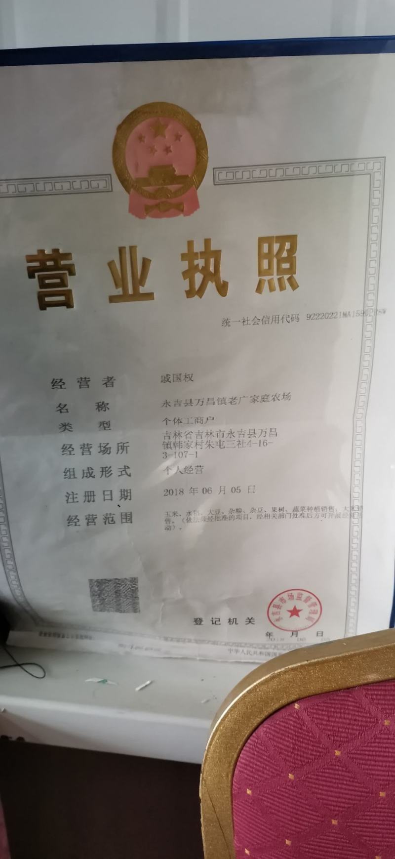 老广农家特产手工包制粘豆包