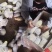 荷兰土豆市场、商超、电商、微商支持一件代发上货快
