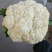 精品花菜，花菜大量上市，质量保证，货源充足