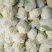 精品花菜，花菜大量上市，质量保证，货源充足