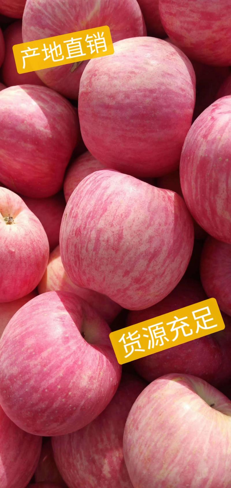 沂源红富士苹果产地直发，囗感脆甜多汁，一手货源，质量保证