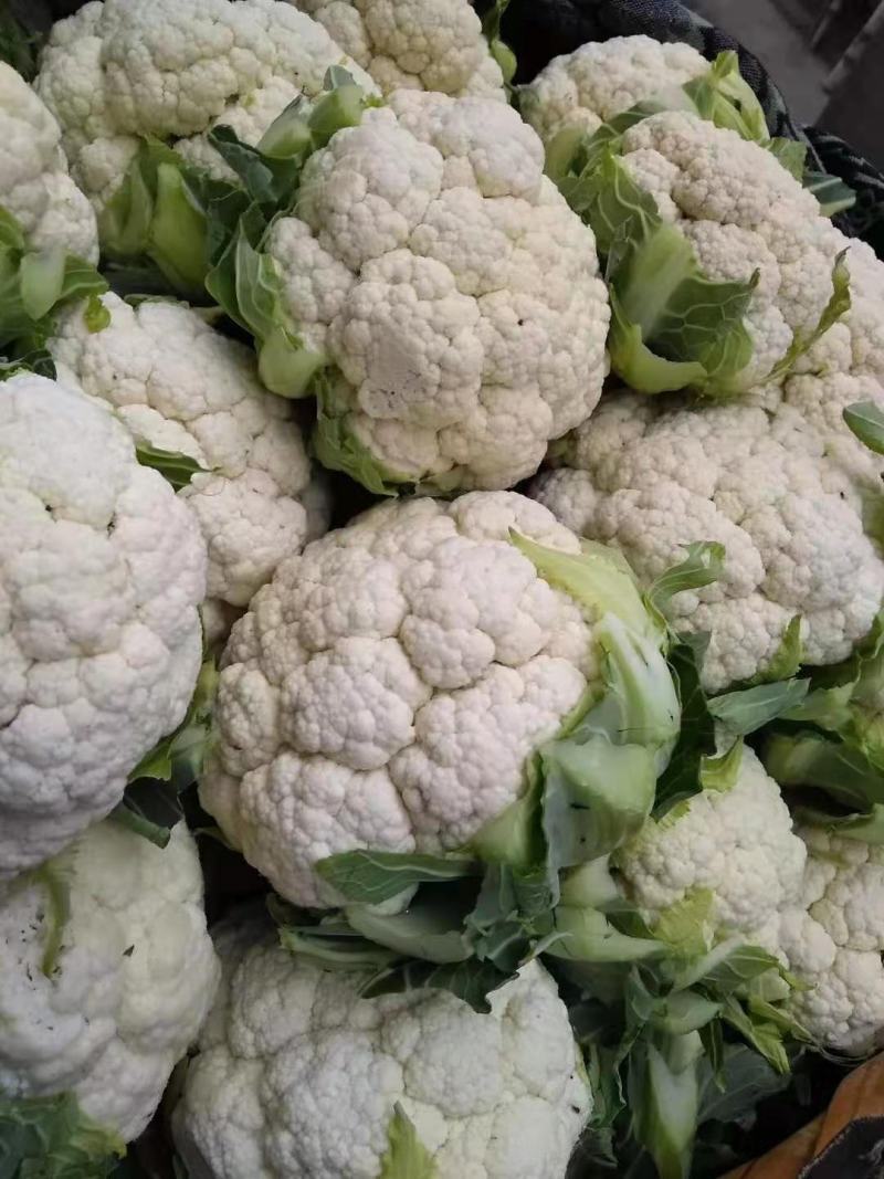 菜花，加工厂，商超，市场产地直供，货品质量保证，量大从优