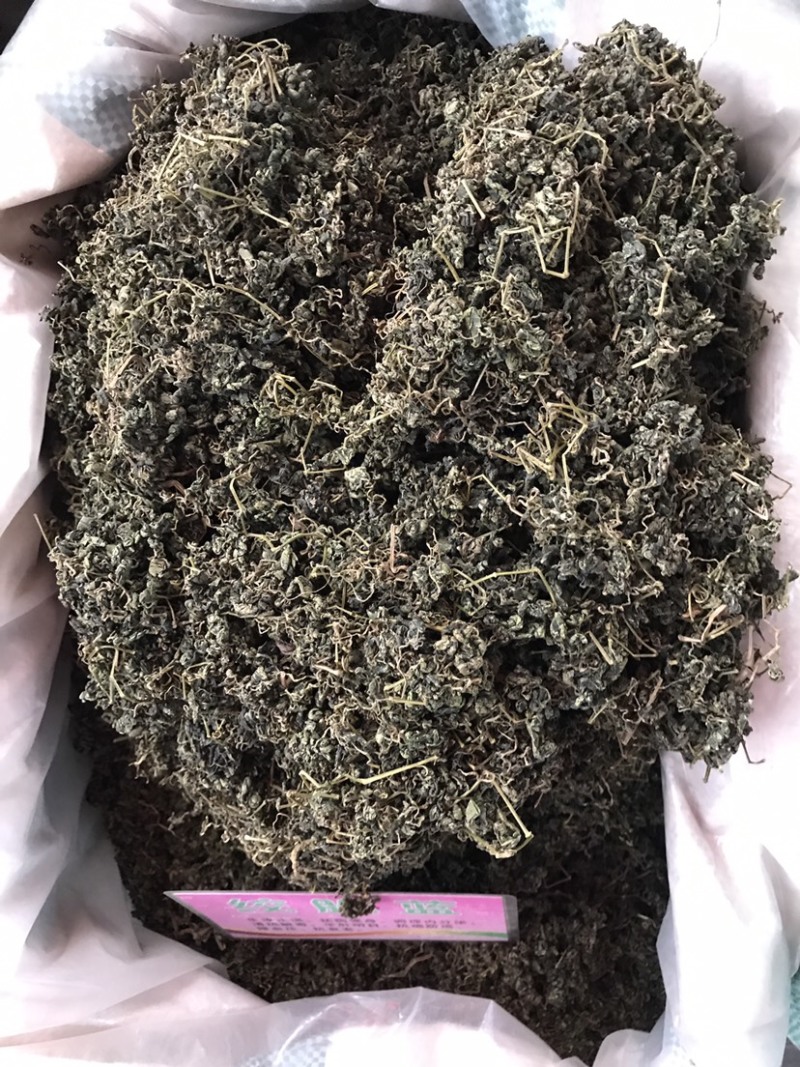 绞股蓝绞股蓝茶支持线上交易量大从优