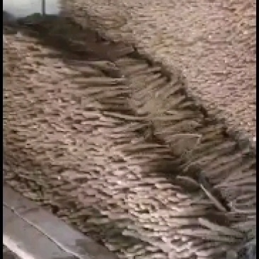 小白嘴白山药有要的联系我