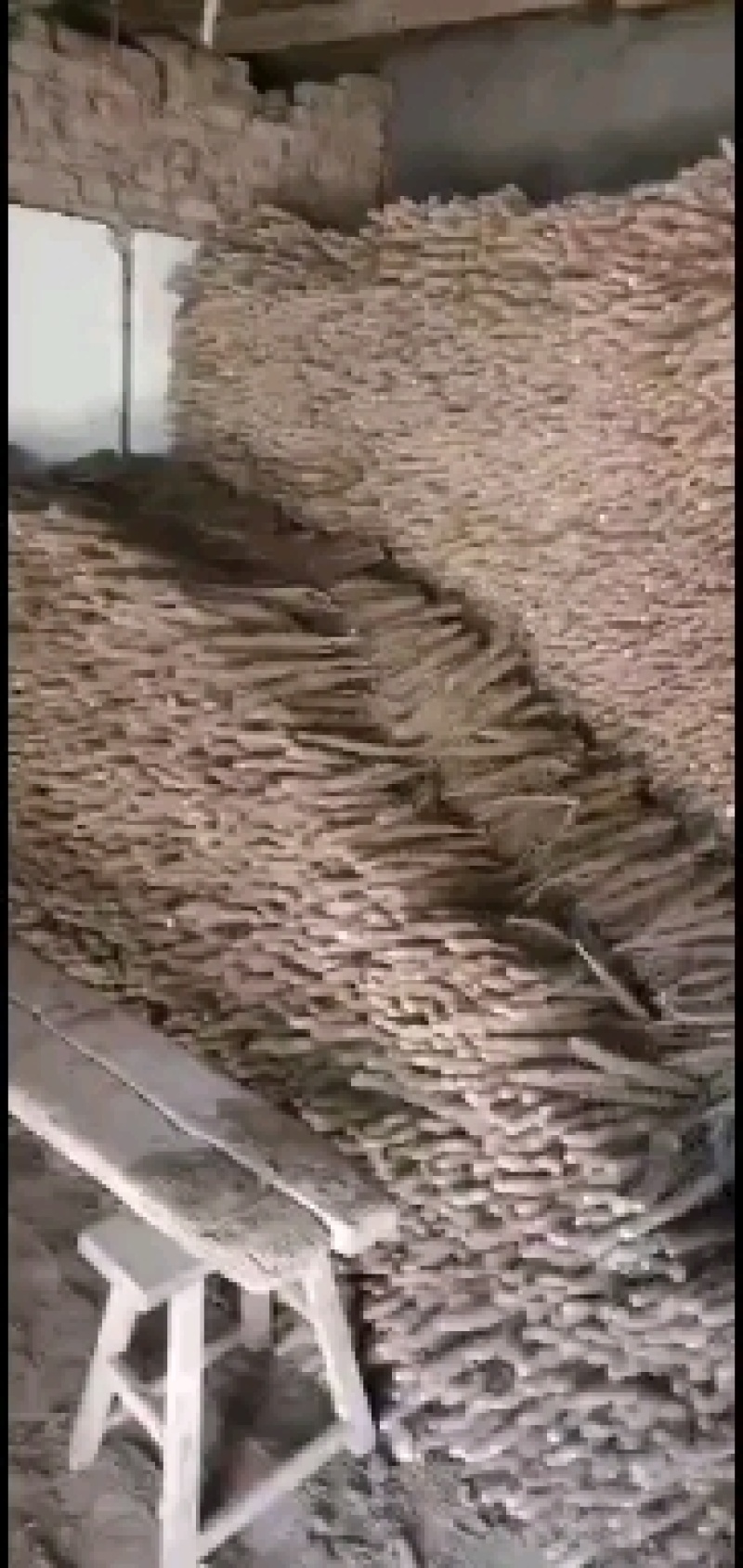 小白嘴白山药有要的联系我