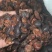 清水土元干品量大优惠
