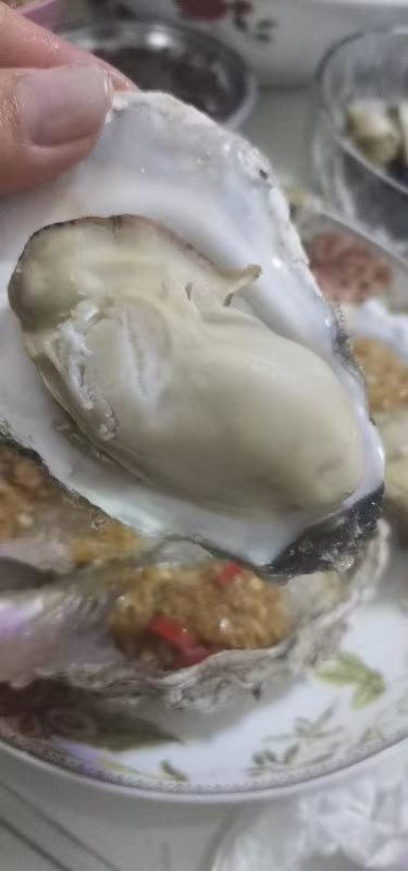 乳山三倍体生蚝，各规格有货，价格便宜，有意者电话联系