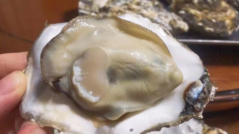 乳山三倍体生蚝，各规格有货，价格便宜，有意者电话联系
