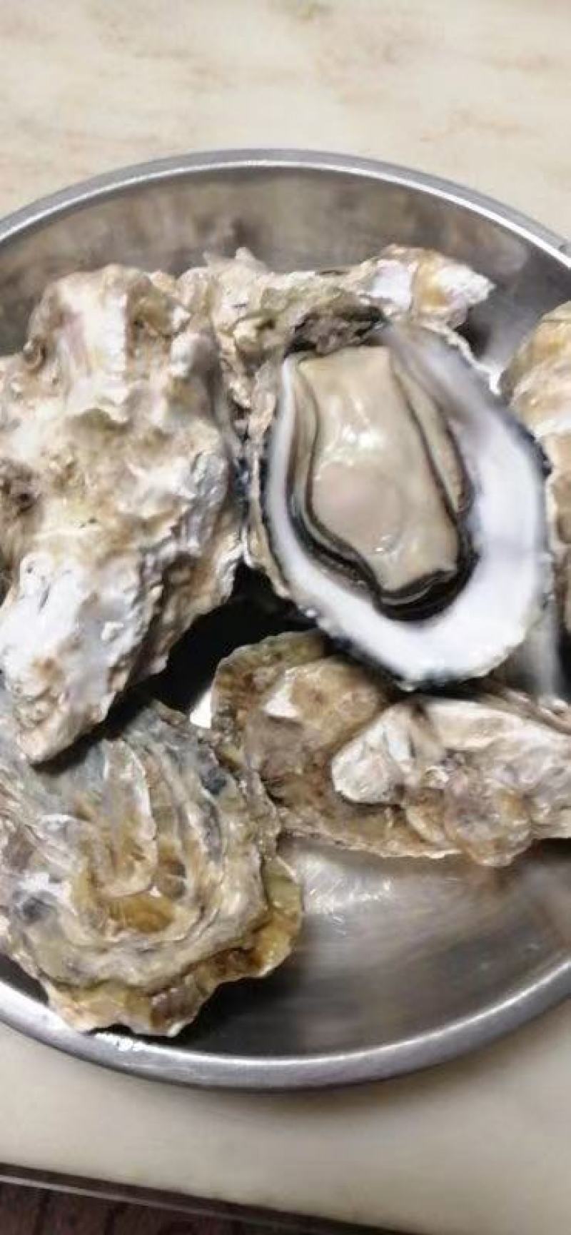 乳山三倍体生蚝，各规格有货，价格便宜，有意者电话联系