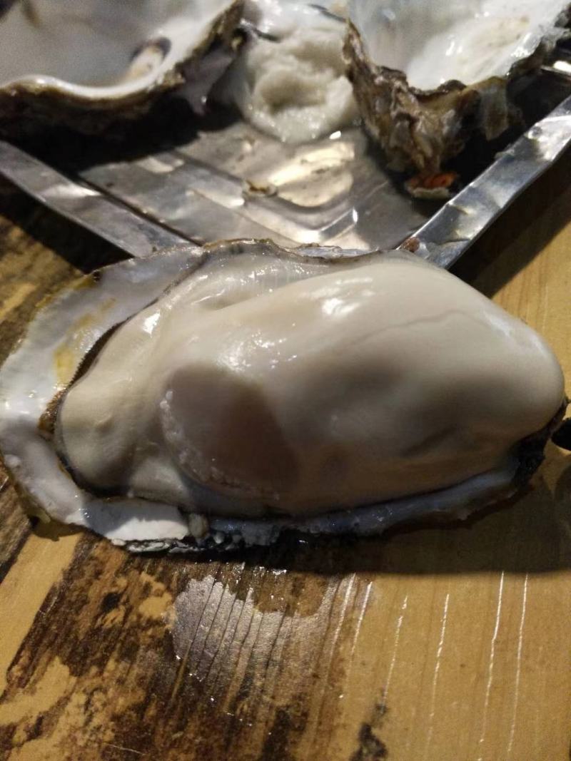 乳山三倍体生蚝，各规格有货，价格便宜，有意者电话联系