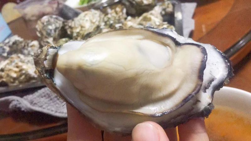 乳山三倍体生蚝，各规格有货，价格便宜，有意者电话联系