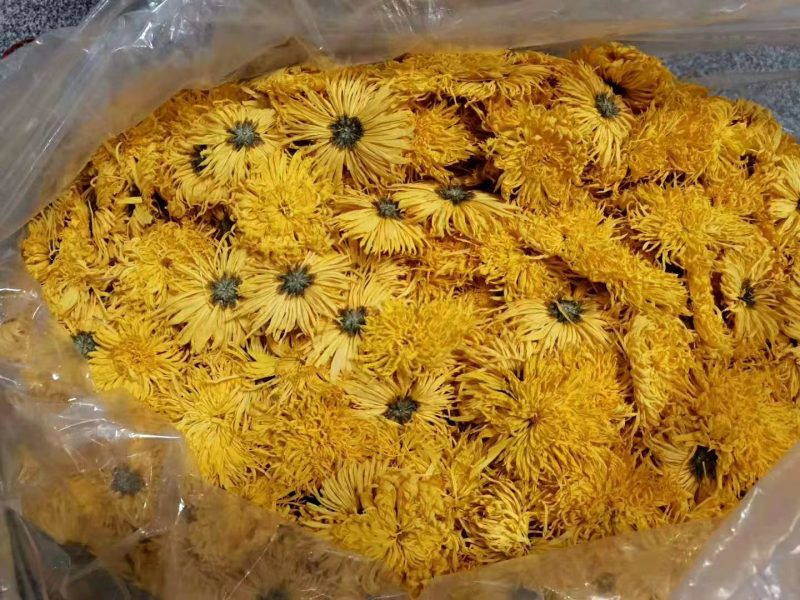 安徽省黄山产地供应干菊花扶贫产品金丝皇菊