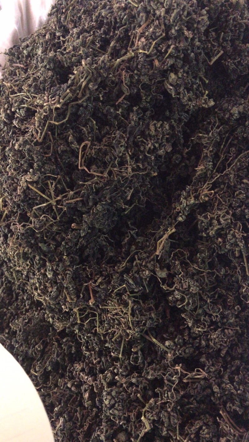 绞股蓝绞股蓝茶支持线上交易量大从优