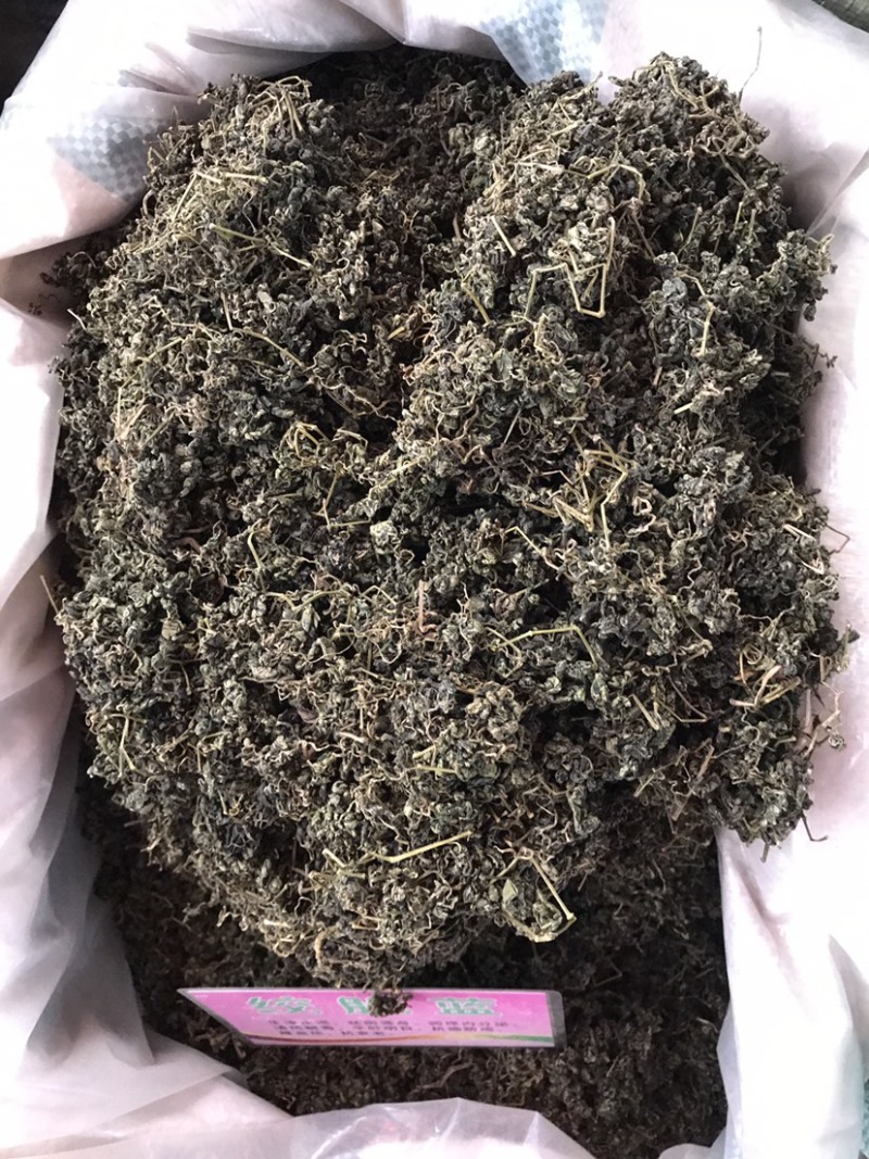 绞股蓝绞股蓝茶支持线上交易量大从优