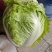 白菜大白菜优质冷库大白菜