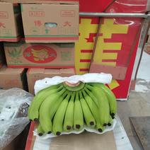 精品香蕉沙糖桔批发产地直供欢迎选购！