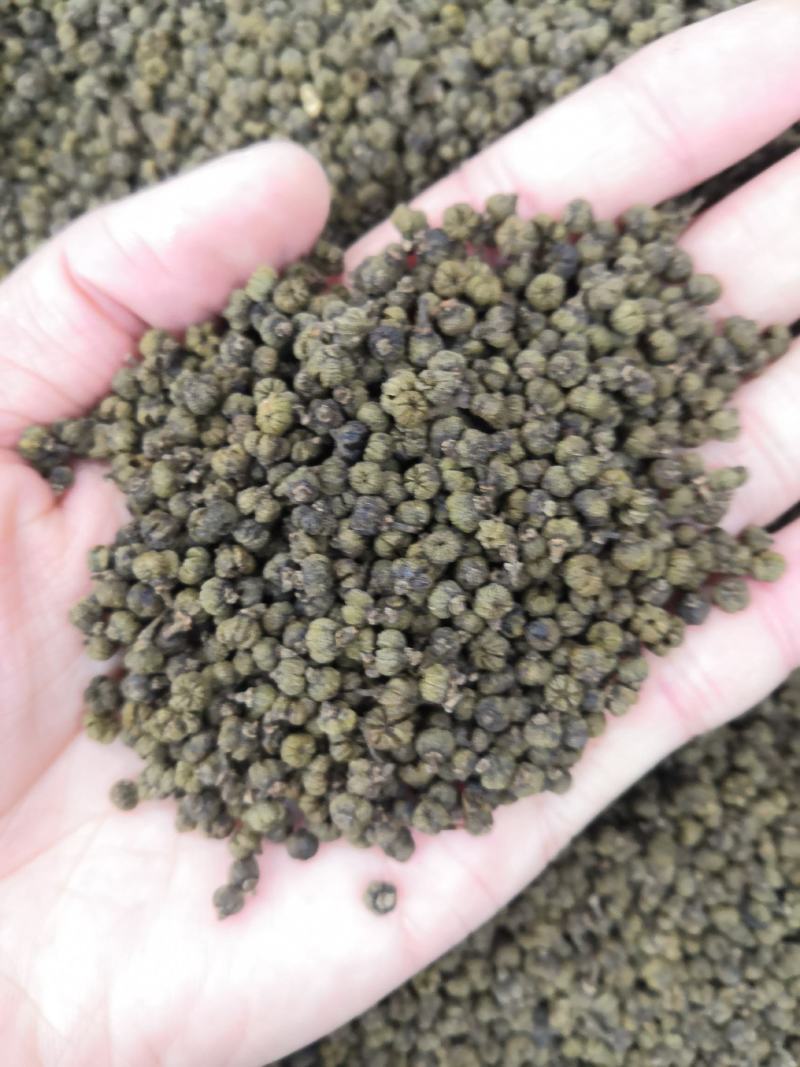 吴茱萸无添加净货批发各种中药材