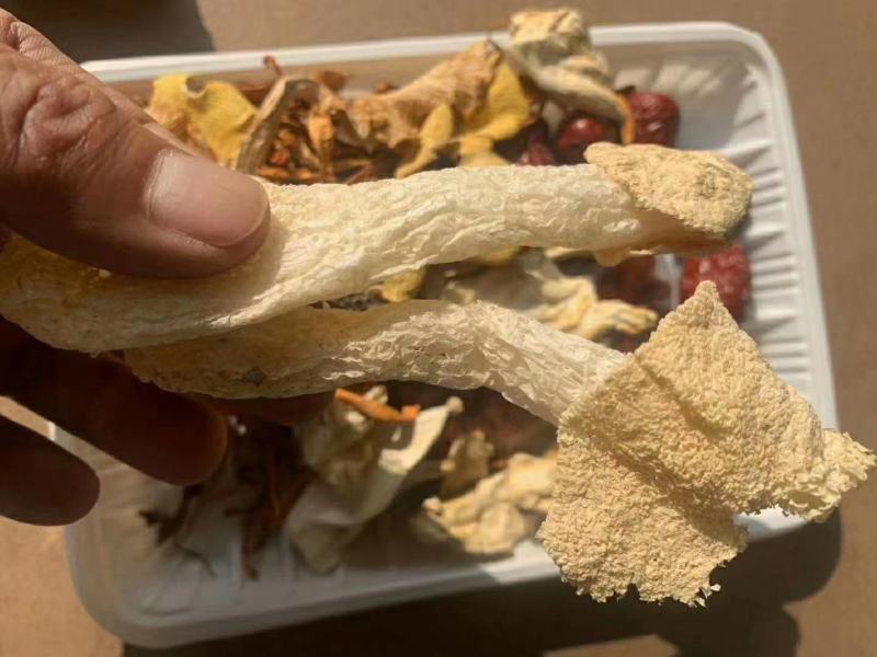 云南七彩菌汤包，多种蘑菇山珍美味，地摊展会火爆产品