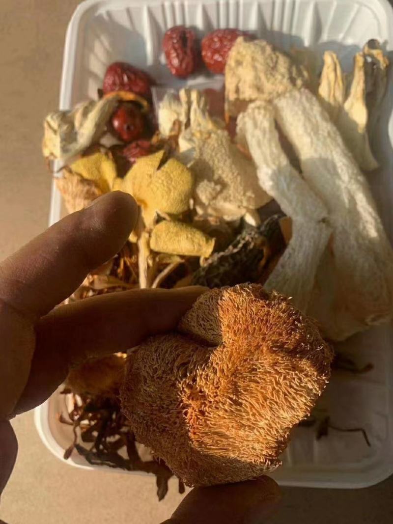 云南七彩菌汤包，多种蘑菇山珍美味，地摊展会火爆产品