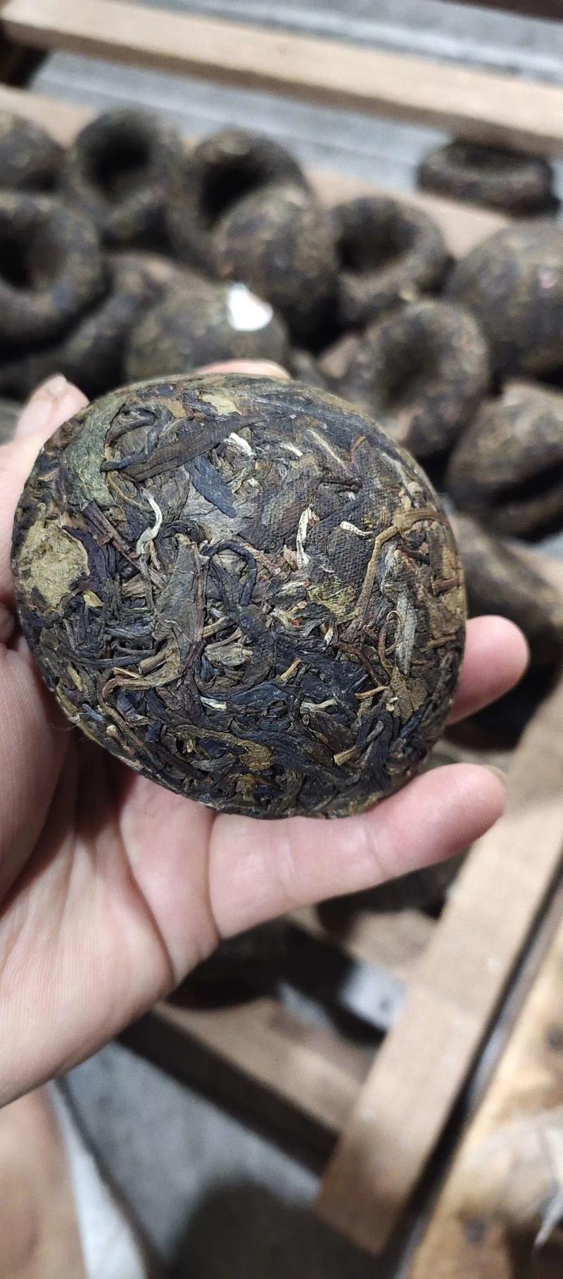 凤凰沱茶（生茶）500克/条，整1斤，大量批发。