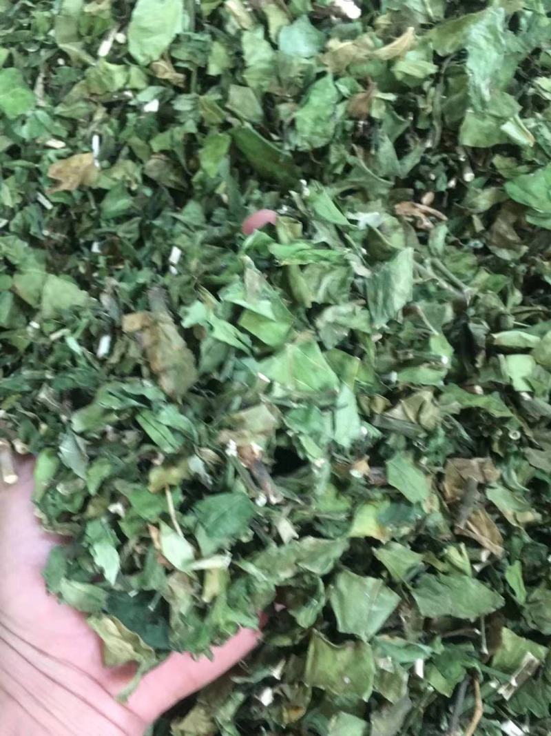 驳骨丹【包邮】三斤起发货可批量可零售量大从优
