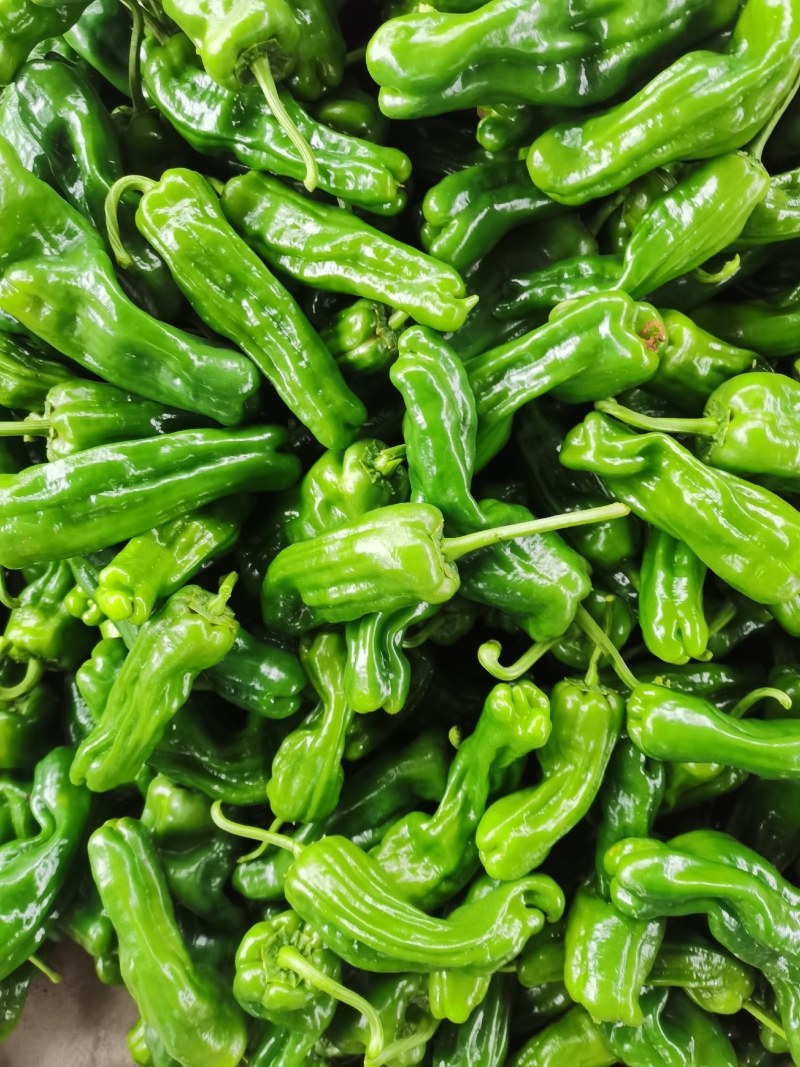 薄皮椒，芜湖椒，大量上市质量很好价格美丽