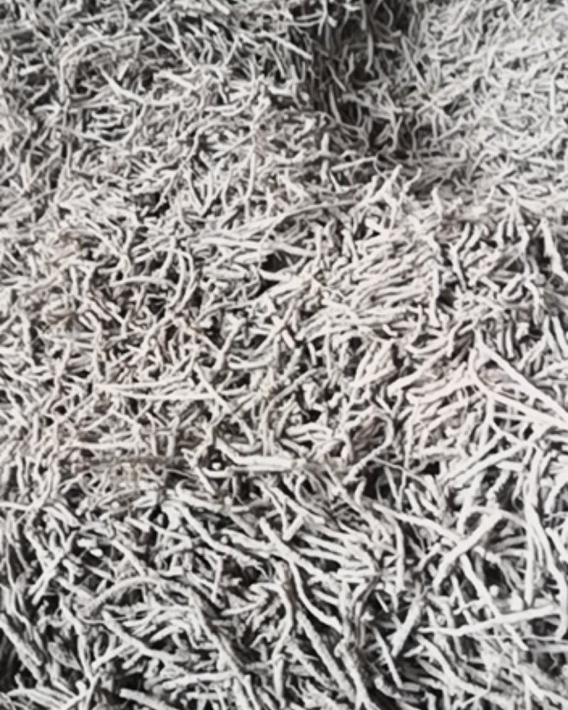 山西远志头，远志小药，干远志筒保存好，不发霉远志筒出售
