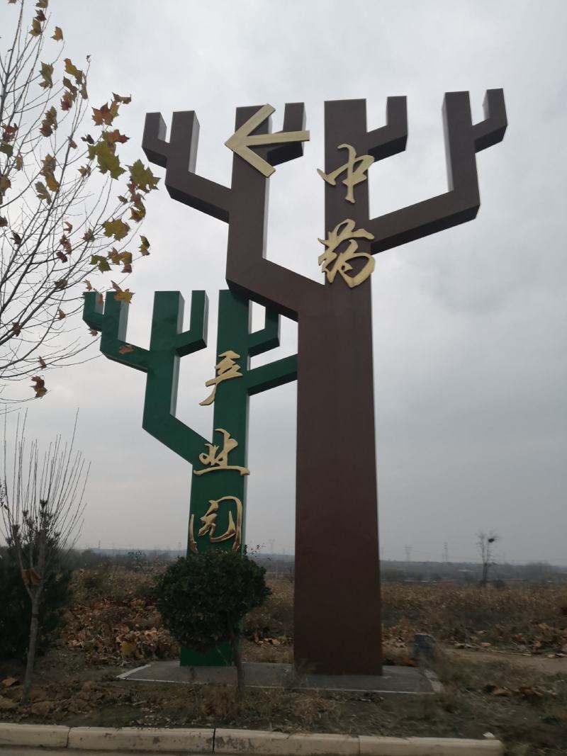 山西远志头，远志小药，干远志筒保存好，不发霉远志筒出售