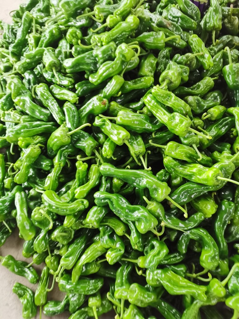 薄皮椒，芜湖椒，大量上市质量很好价格美丽