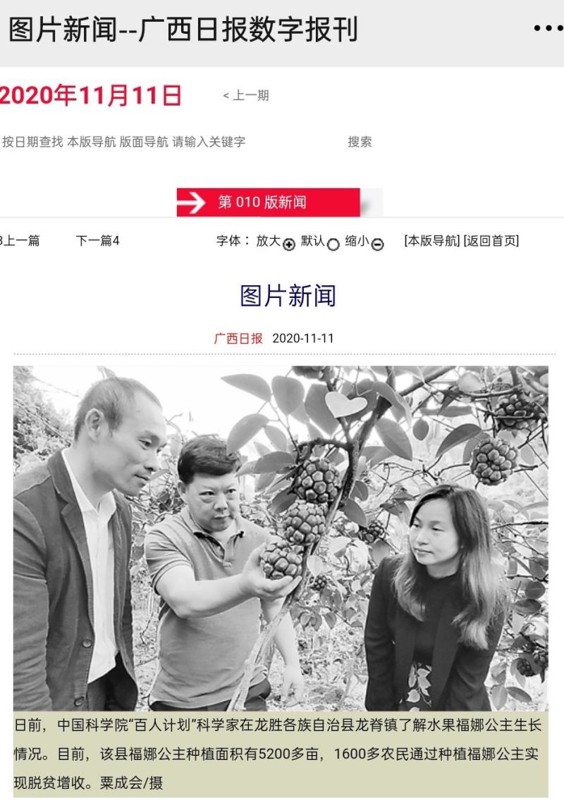 福娜公主甜蜜单细核品种与科学家联手签约收购
