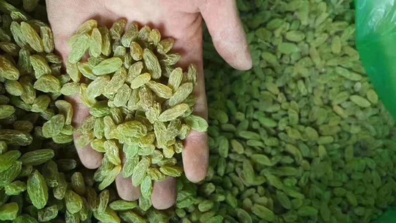 新疆吐鲁番葡萄干颗粒大纯甜无籽厂价批发