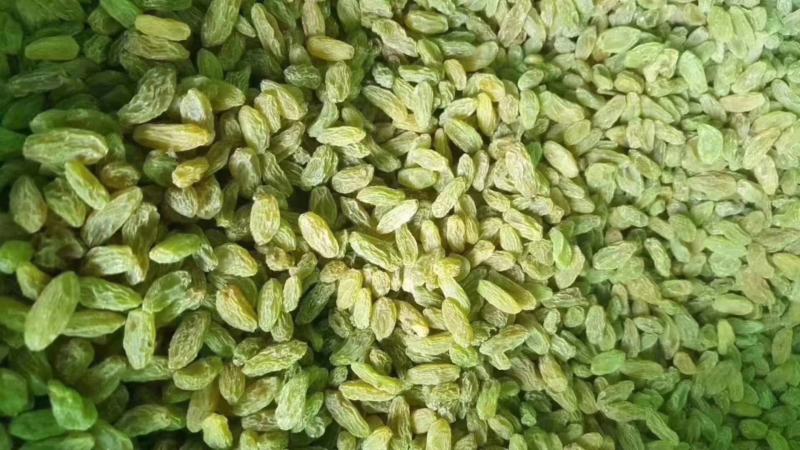 新疆吐鲁番葡萄干颗粒大纯甜无籽厂价批发