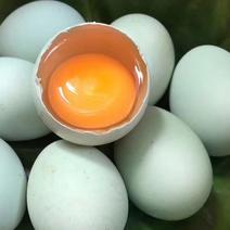 新鲜鸭蛋，绿壳土鸡蛋鹅蛋
