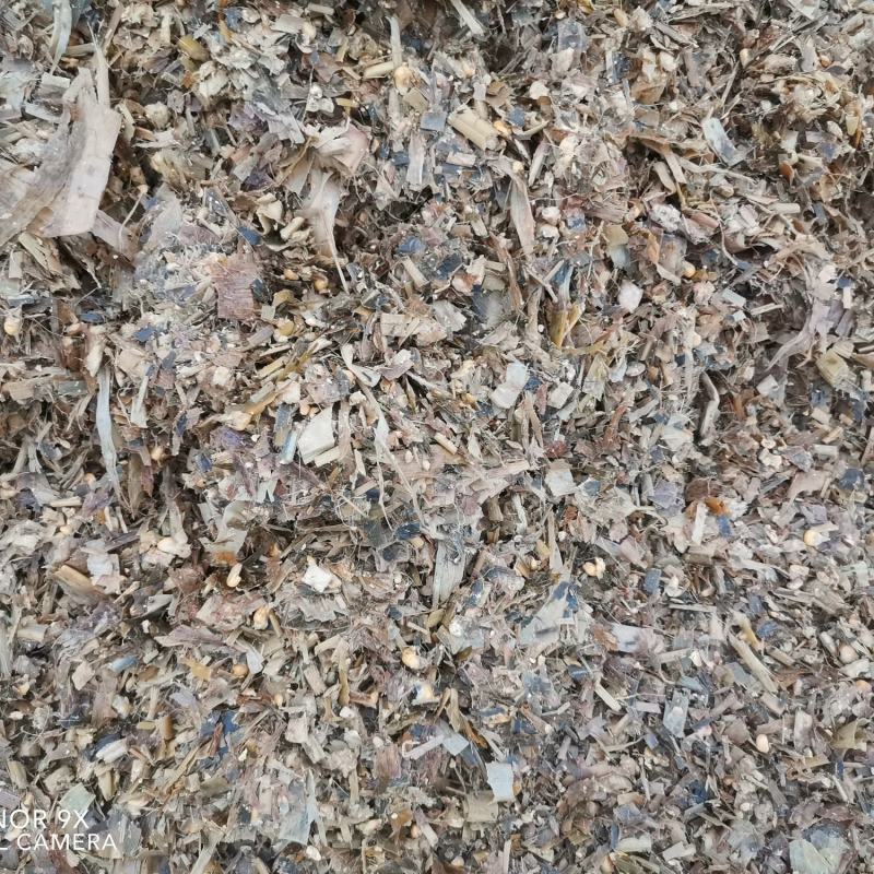全株青贮玉米饲料籽粒破碎含量高