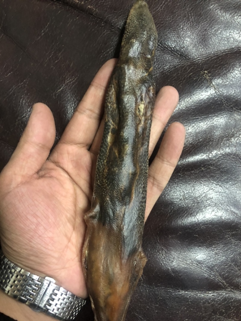 鹿尾巴干梅花鹿尾巴鹿场直发壮年鹿尾巴东北吉林鹿乡
