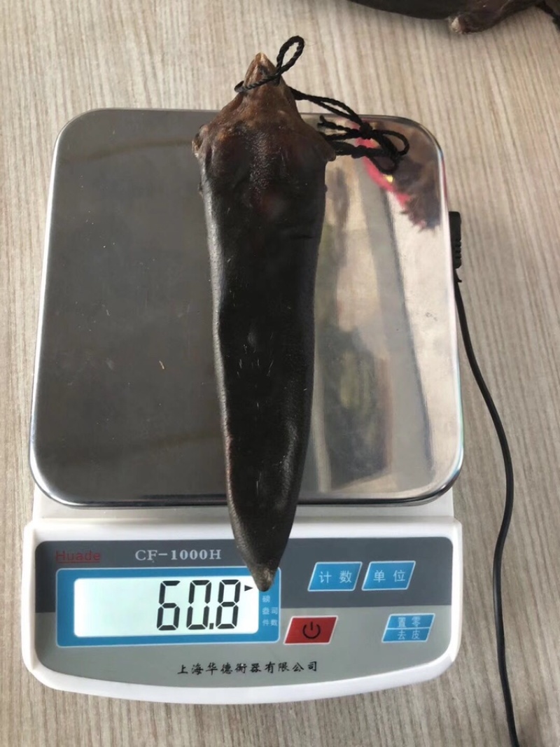 鹿尾巴干梅花鹿尾巴鹿场直发壮年鹿尾巴东北吉林鹿乡