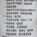 饲料添加剂黄芪细粉末