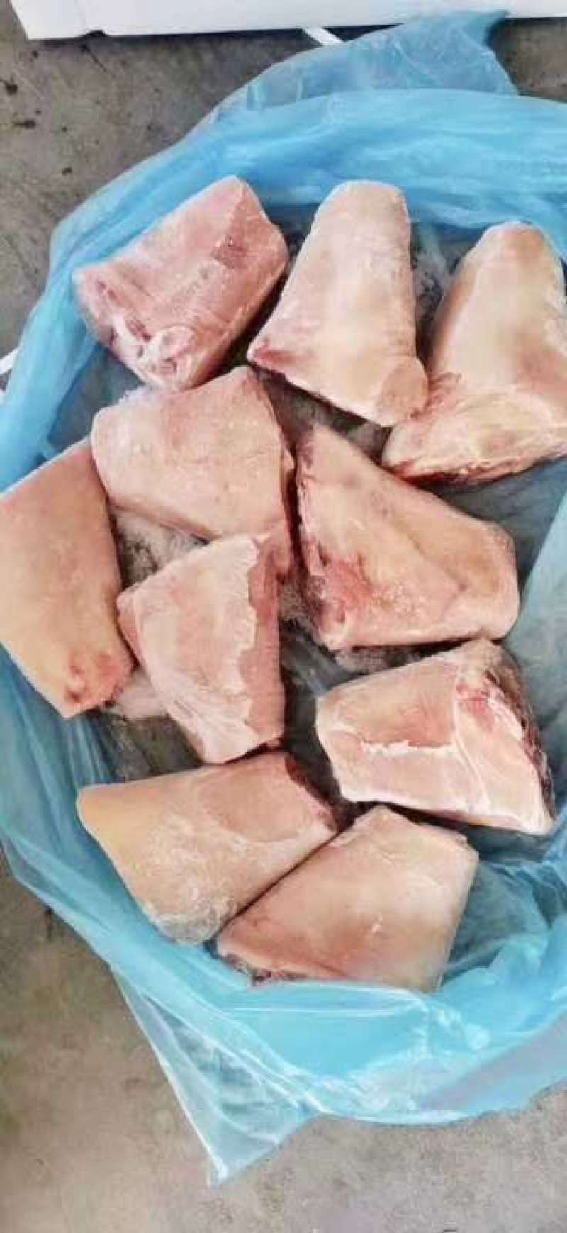 猪肘子，猪前肘，猪后肘，量大优惠，欢迎各位光临！