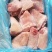 猪肘子，猪前肘，猪后肘，量大优惠，欢迎各位光临！