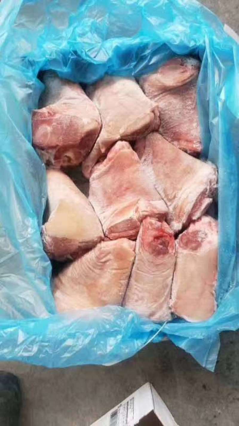 猪肘子，猪前肘，猪后肘，量大优惠，欢迎各位光临！