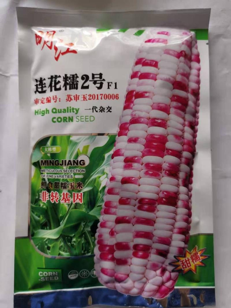 加甜彩糯玉米种子，苏科糯审定糯玉米种子高产非转基因品种