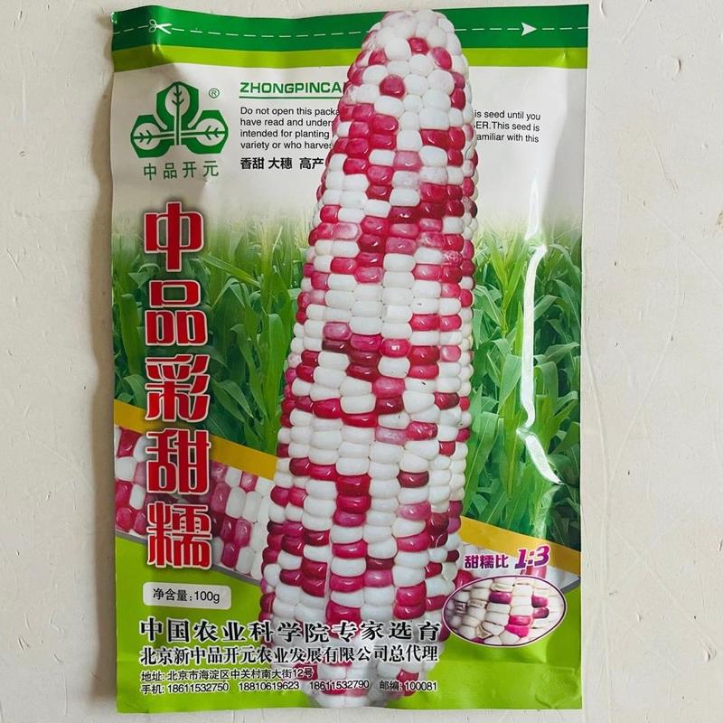 加甜彩糯玉米种子，苏科糯审定糯玉米种子高产非转基因品种