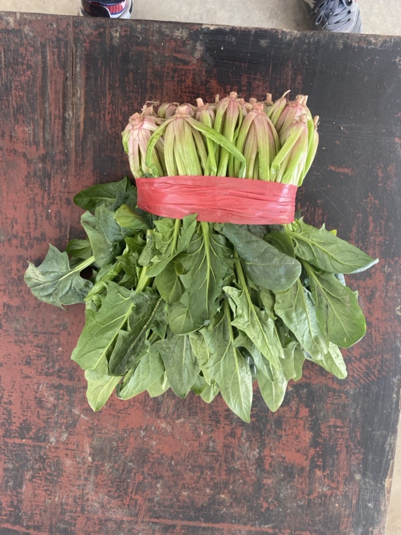 热销推荐，实力供货优质菠菜，泡沫箱精品菠菜