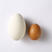 鹅蛋种蛋受精蛋高受精率可孵化大三花皖浦泰州