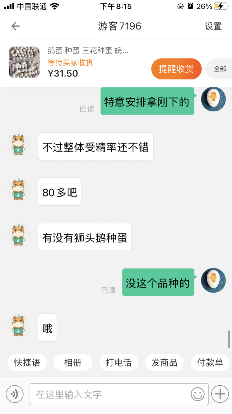 鹅蛋种蛋受精蛋高受精率可孵化大三花皖浦泰州